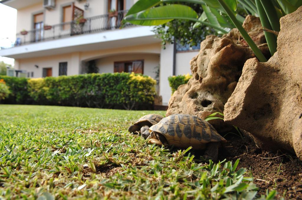 Bed and Breakfast San Pietro Noto Exterior foto